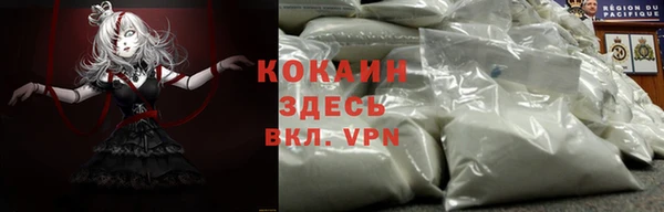 крисы Осташков