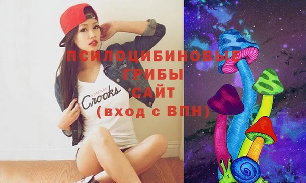apvp Остров