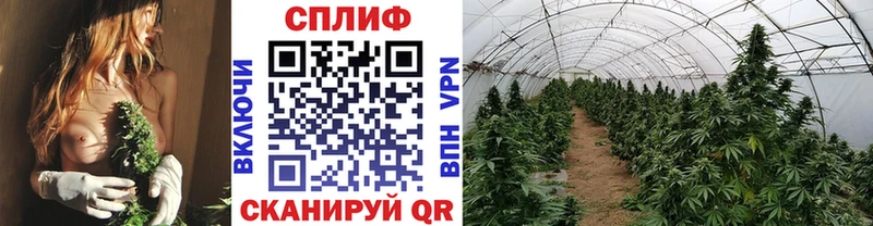Конопля план  дарнет шоп  omg ссылка  Усолье 